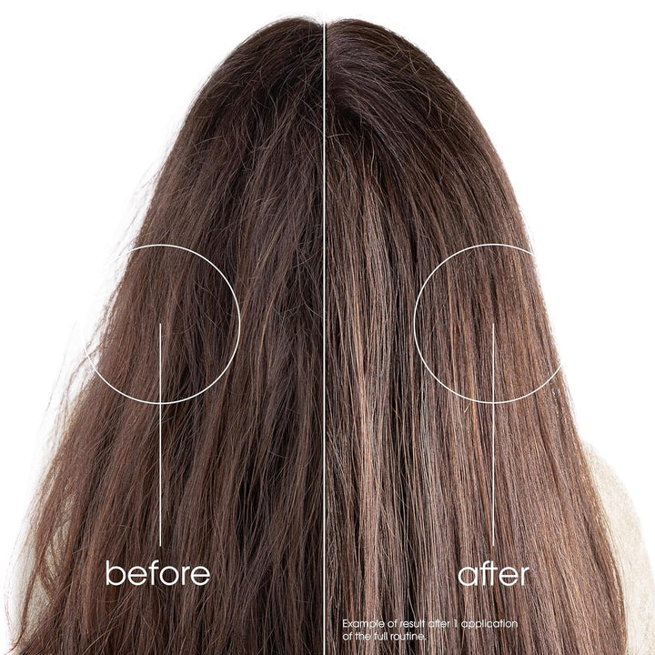 Klorane Plumping Mask With Prickly Pear 250mL