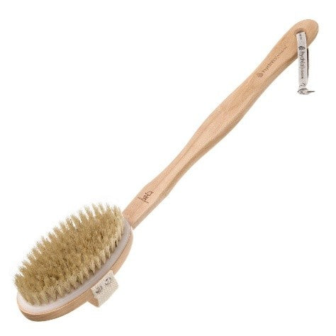 Hydrea London Durable Body Brush with Water Protective Plastic Plate and Long Detachable Handle