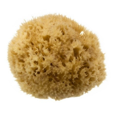 Hydrea London Natural Honeycomb Sea Sponge Size 4.4.5